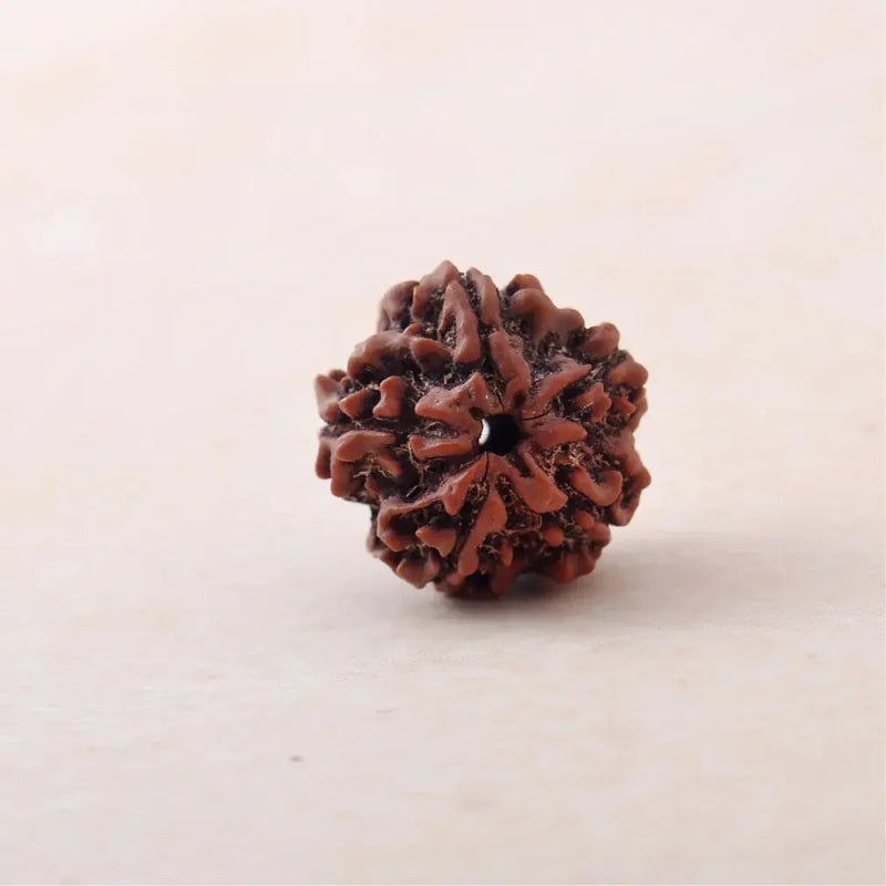 Rudraksha beads by mukhi - 1 to 7 face lab certified
