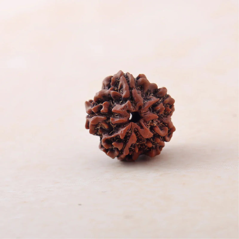 Rudraksha beads by mukhi - 1 to 7 face lab certified