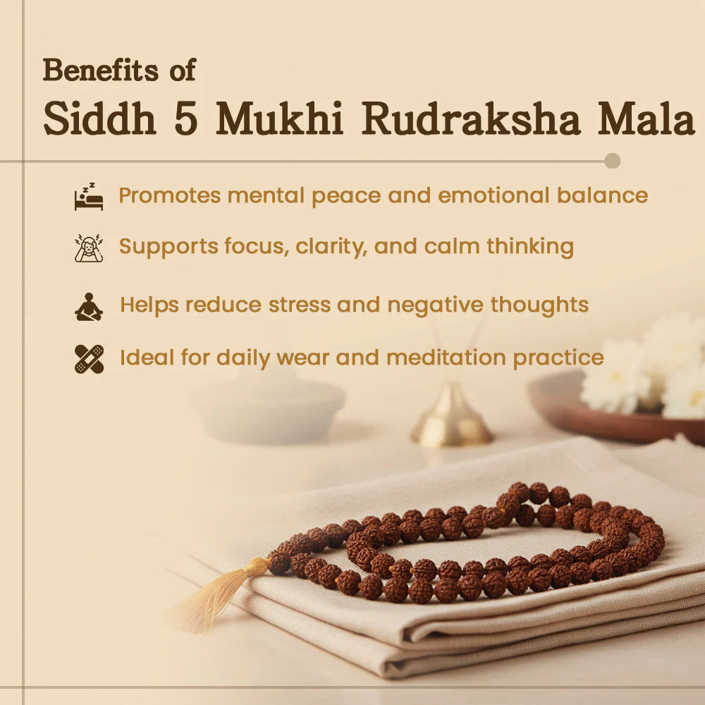 108-Bead Rudraksha Jaap Mala — Original, Govt. Certified — image 3