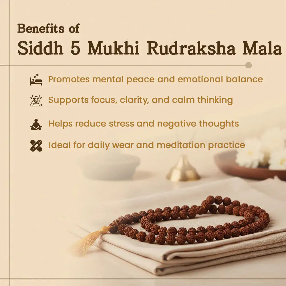 108-Bead Rudraksha Jaap Mala — Original, Govt. Certified — image 3