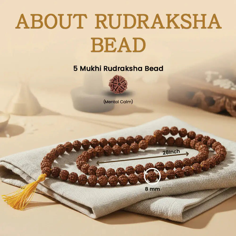 108-Bead Rudraksha Jaap Mala — Original, Govt. Certified — image 4
