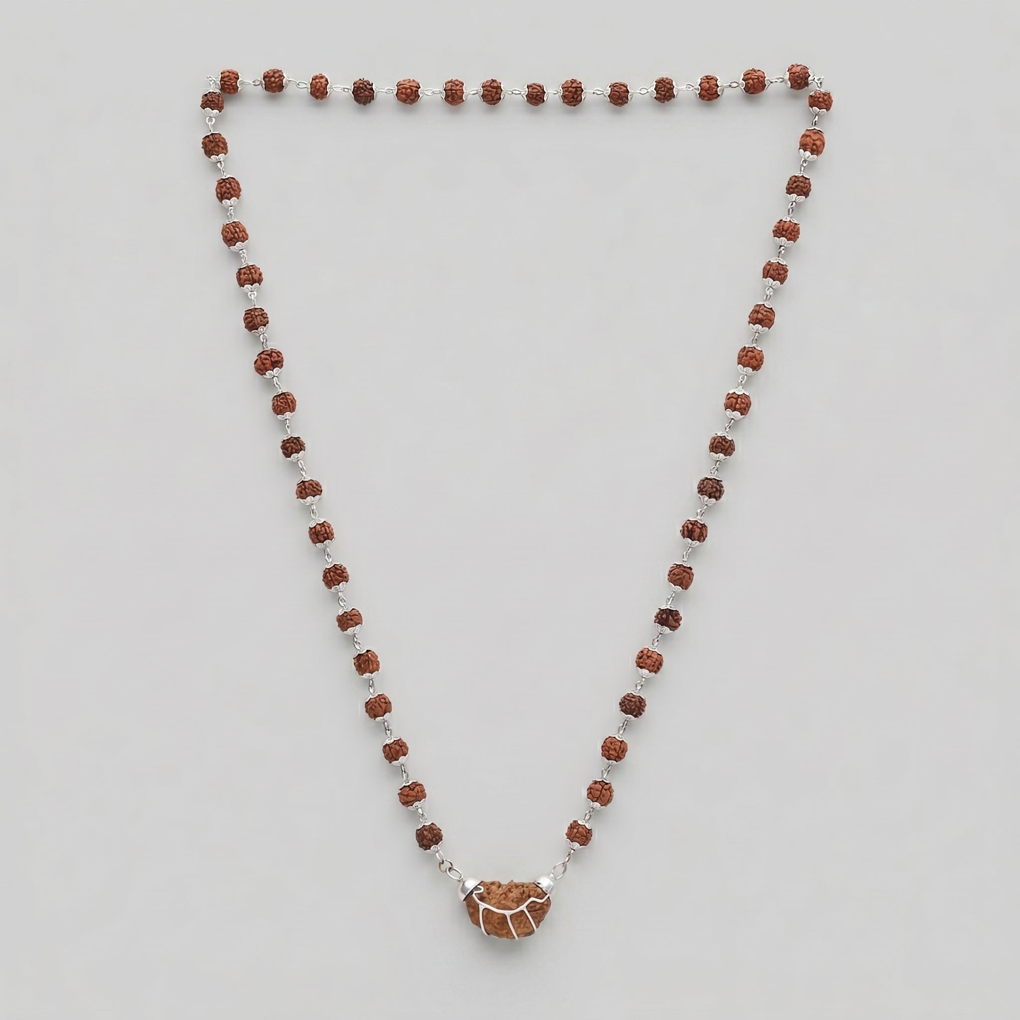 1 Mukhi Rudraksha Pendant — Silver Cap, Govt. Certified