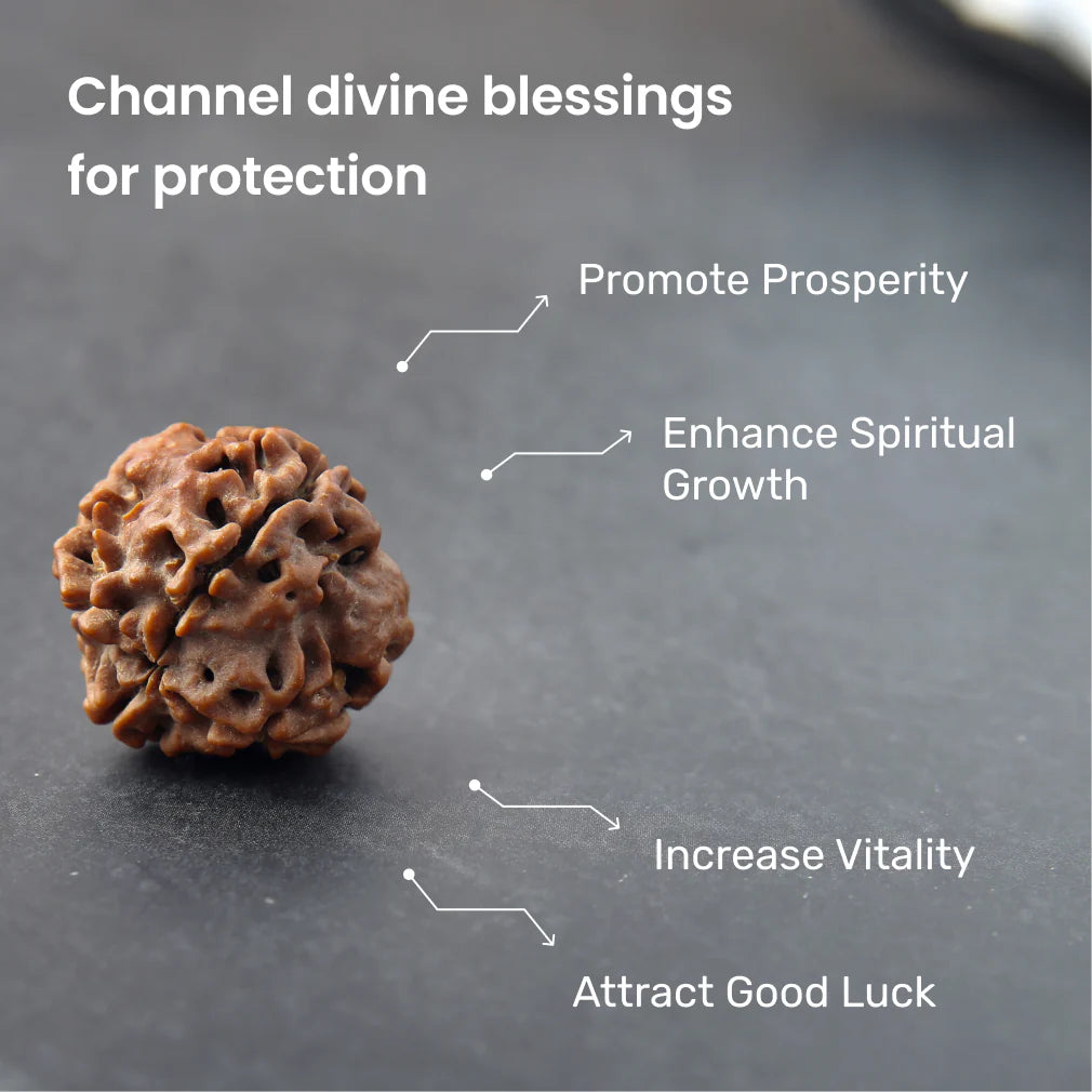 4 Mukhi Lab Certified Rudraksha
