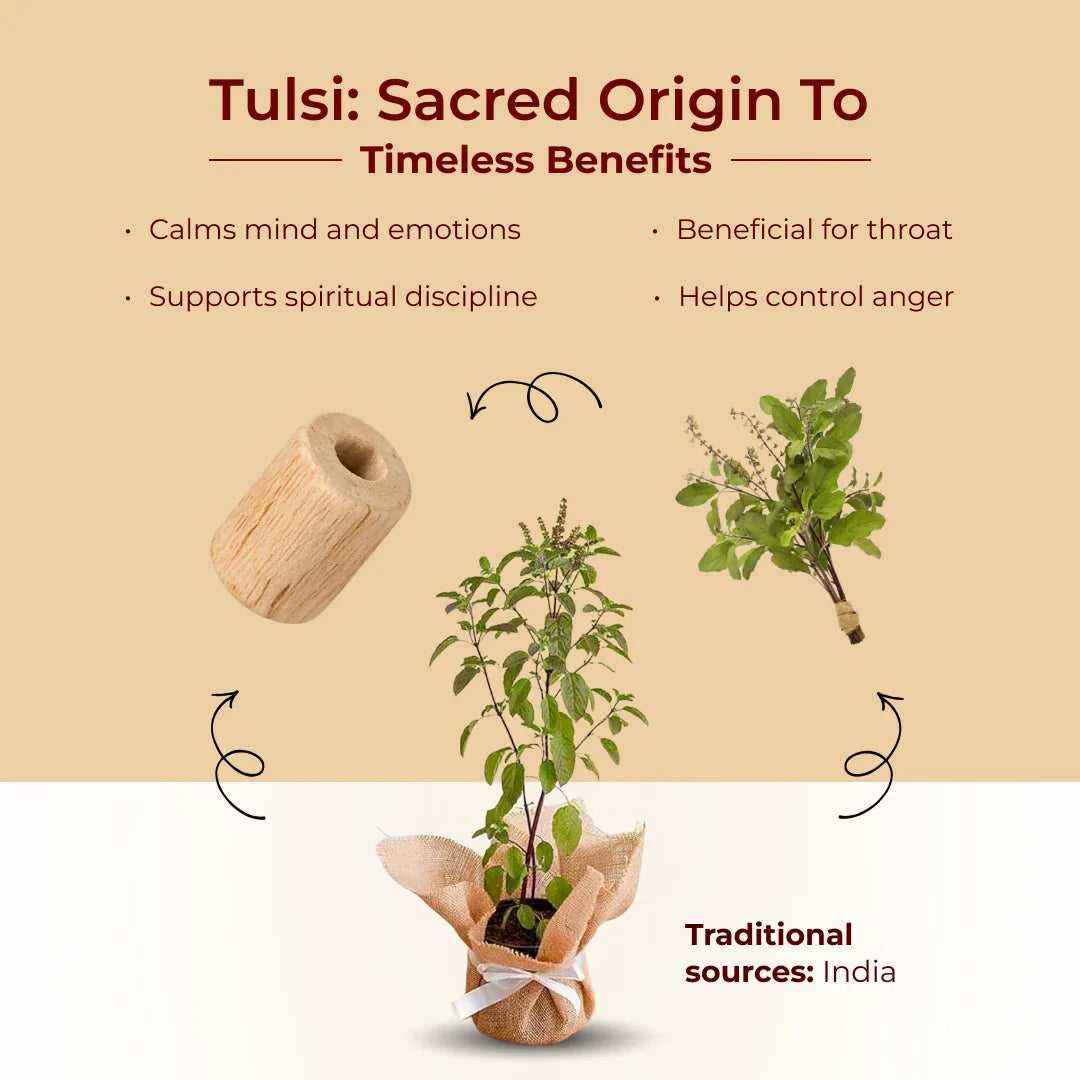 Govt Certified Bageshwar Dham Sitaram Hanumanji Tulsi Necklace