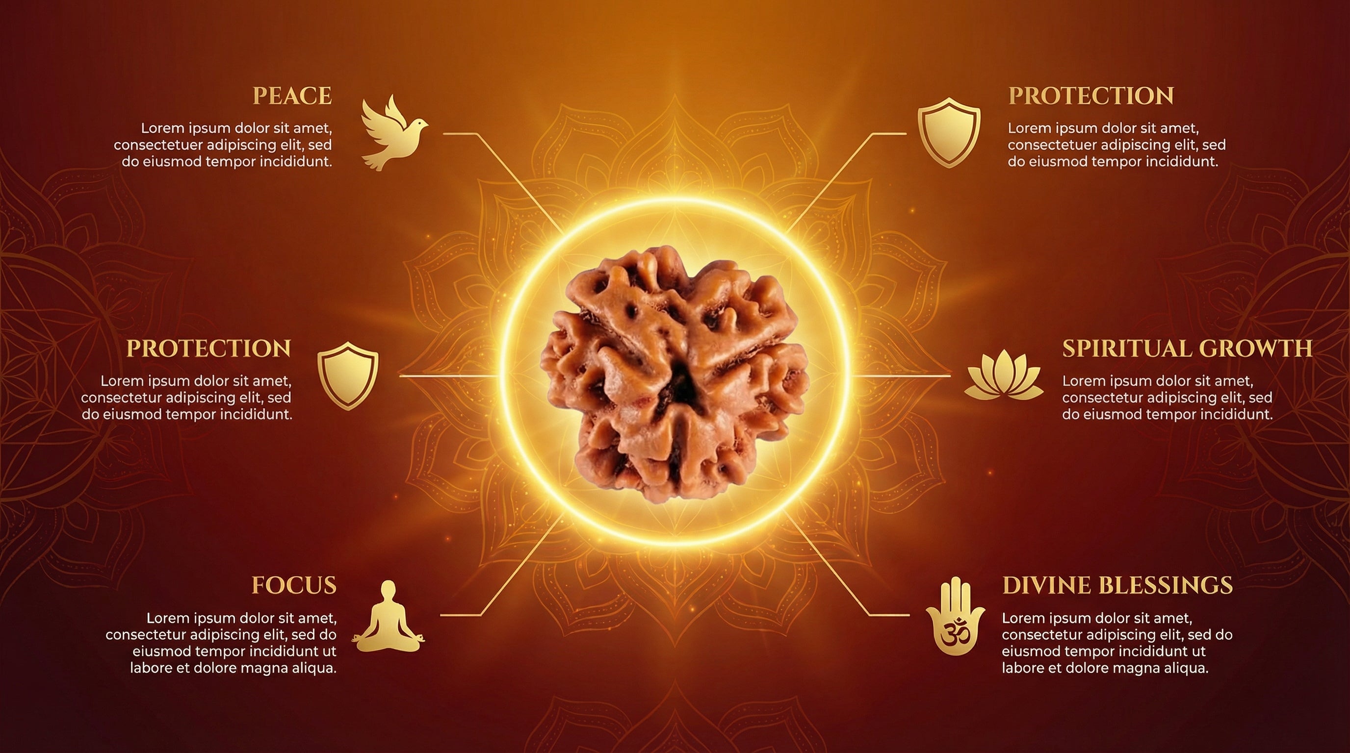 3 Mukhi Lab Certified Rudraksha